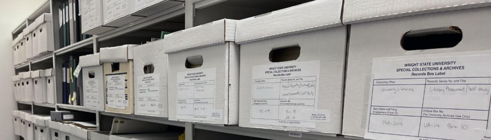 photo of boxes on shelves in the archives