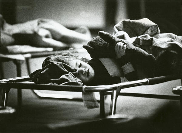 A young child with a stuffed animal sleeping on a cot