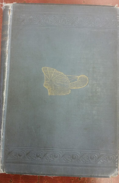 The cover of a damaged blue book with a gold flying machine depicted.