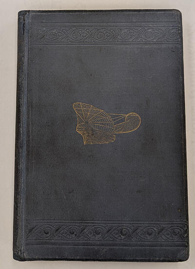 Progress in Flying Machines book by Chanute cover after treatment