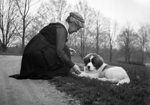 A woman in a dress bending down to pet a puppy Staint Bernard. 