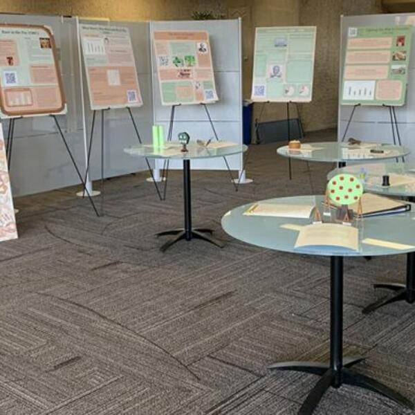 Photo of student poster display on the topic of Unity