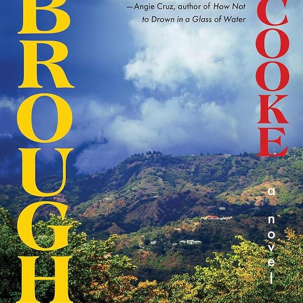 Book cover of Broughtupsy