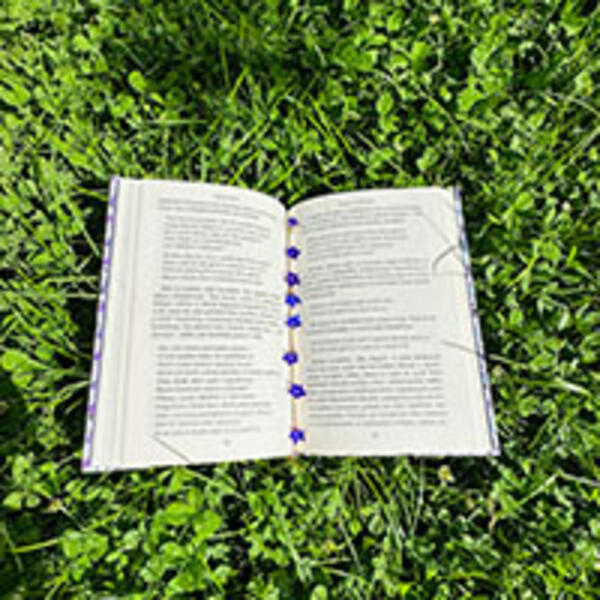Image of an open book sitting on grass